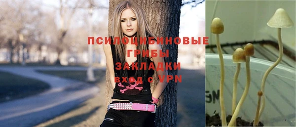 гидра Дмитров